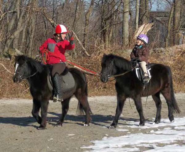 Dreaming Of Ponies Guided Bedtime Meditations